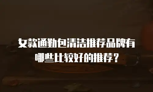 女款通勤包清洁推荐品牌有哪些比较好的推荐？