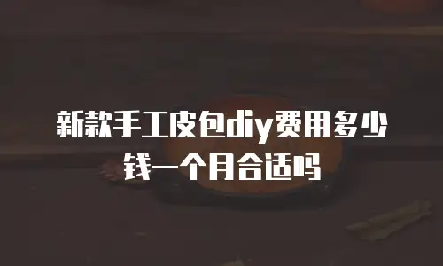 新款手工皮包diy费用多少钱一个月合适吗