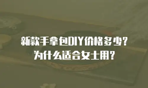 新款手拿包DIY价格多少？为什么适合女士用？