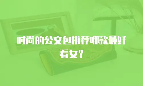 时尚的公文包推荐哪款最好看女？