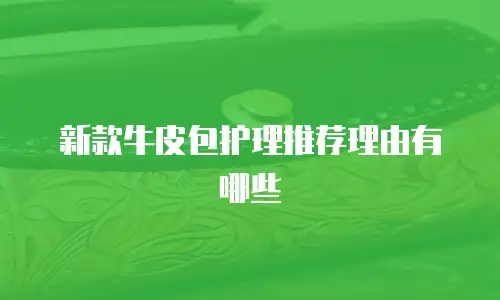 新款牛皮包护理推荐理由有哪些