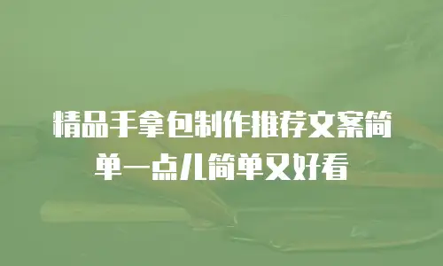 精品手拿包制作推荐文案简单一点儿简单又好看