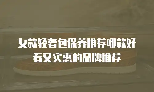 女款轻奢包保养推荐哪款好看又实惠的品牌推荐
