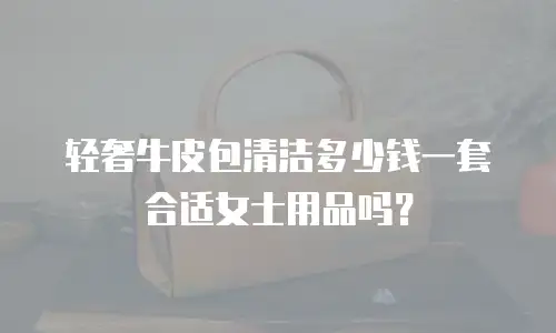 轻奢牛皮包清洁多少钱一套合适女士用品吗？