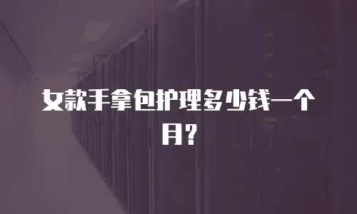 女款手拿包护理多少钱一个月？