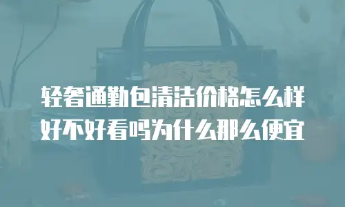 轻奢通勤包清洁价格怎么样好不好看吗为什么那么便宜