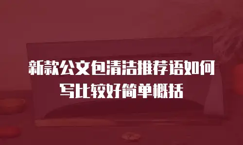 新款公文包清洁推荐语如何写比较好简单概括