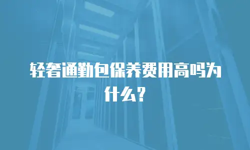 轻奢通勤包保养费用高吗为什么？