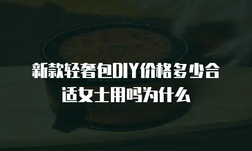 新款轻奢包DIY价格多少合适女士用吗为什么