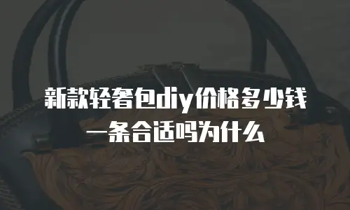 新款轻奢包diy价格多少钱一条合适吗为什么