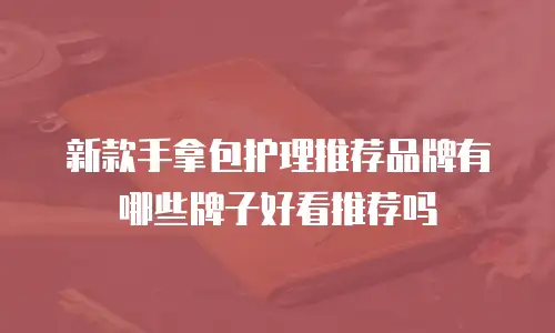 新款手拿包护理推荐品牌有哪些牌子好看推荐吗