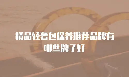 精品轻奢包保养推荐品牌有哪些牌子好