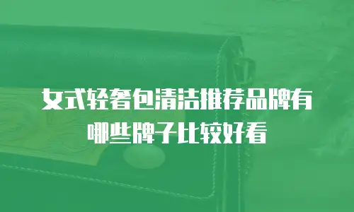 女式轻奢包清洁推荐品牌有哪些牌子比较好看