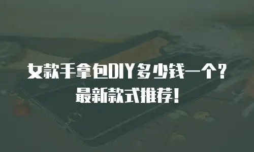 女款手拿包DIY多少钱一个？最新款式推荐！
