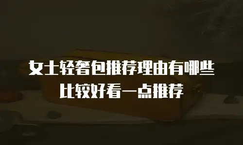 女士轻奢包推荐理由有哪些比较好看一点推荐