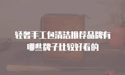 轻奢手工包清洁推荐品牌有哪些牌子比较好看的