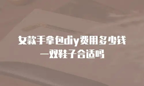 女款手拿包diy费用多少钱一双鞋子合适吗