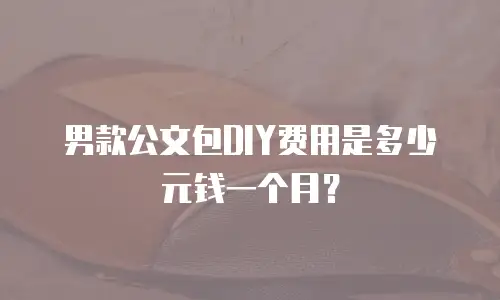 男款公文包DIY费用是多少元钱一个月？