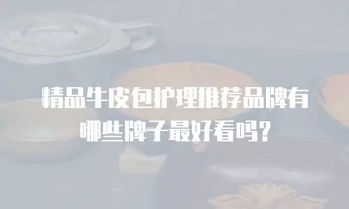 精品牛皮包护理推荐品牌有哪些牌子最好看吗？