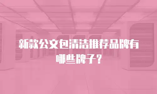 新款公文包清洁推荐品牌有哪些牌子？