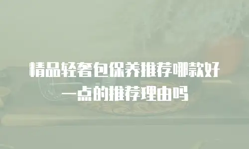 精品轻奢包保养推荐哪款好一点的推荐理由吗