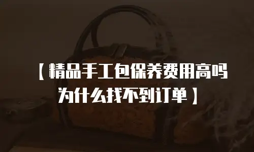 【精品手工包保养费用高吗为什么找不到订单】