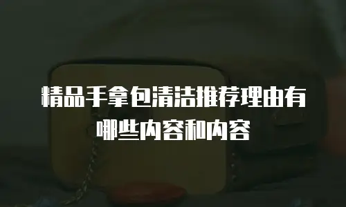 精品手拿包清洁推荐理由有哪些内容和内容