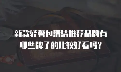 新款轻奢包清洁推荐品牌有哪些牌子的比较好看吗？