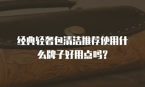 经典轻奢包清洁推荐使用什么牌子好用点吗？