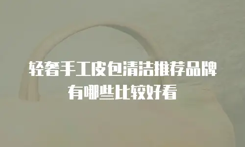 轻奢手工皮包清洁推荐品牌有哪些比较好看