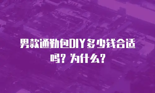 男款通勤包DIY多少钱合适吗？为什么？
