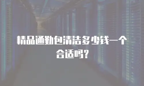 精品通勤包清洁多少钱一个合适吗？
