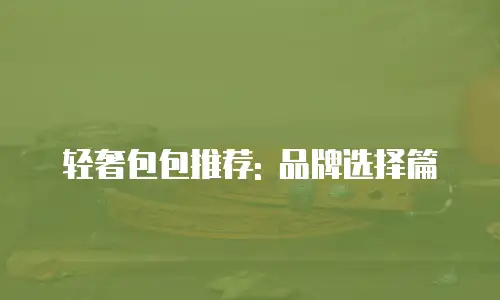 轻奢包包推荐: 品牌选择篇