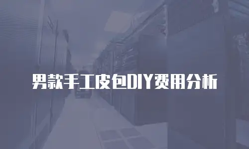 男款手工皮包DIY费用分析
