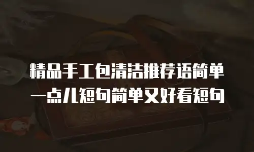 精品手工包清洁推荐语简单一点儿短句简单又好看短句
