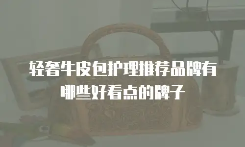 轻奢牛皮包护理推荐品牌有哪些好看点的牌子