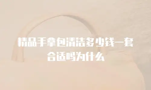 精品手拿包清洁多少钱一套合适吗为什么