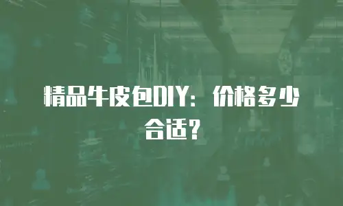精品牛皮包DIY：价格多少合适？