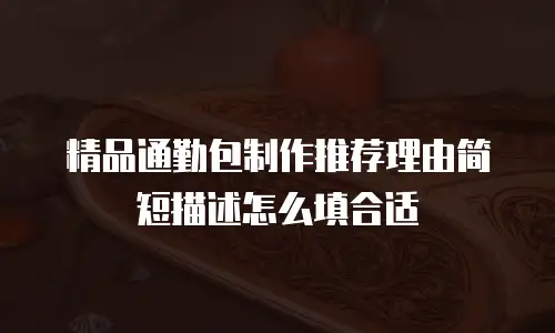 精品通勤包制作推荐理由简短描述怎么填合适