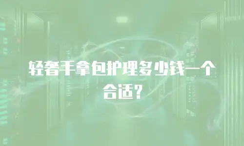 轻奢手拿包护理多少钱一个合适？