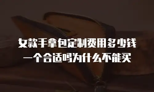 女款手拿包定制费用多少钱一个合适吗为什么不能买