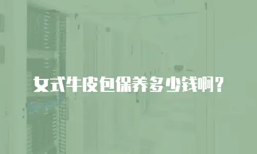 女式牛皮包保养多少钱啊？