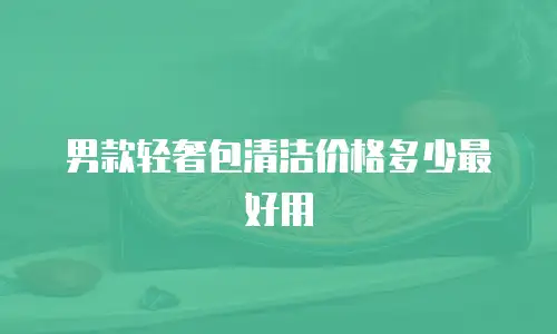 男款轻奢包清洁价格多少最好用