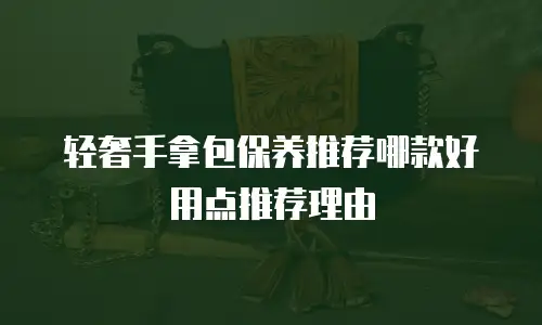 轻奢手拿包保养推荐哪款好用点推荐理由