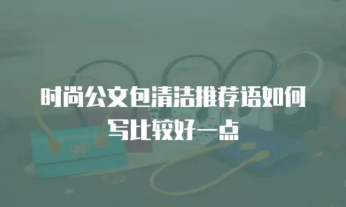 时尚公文包清洁推荐语如何写比较好一点