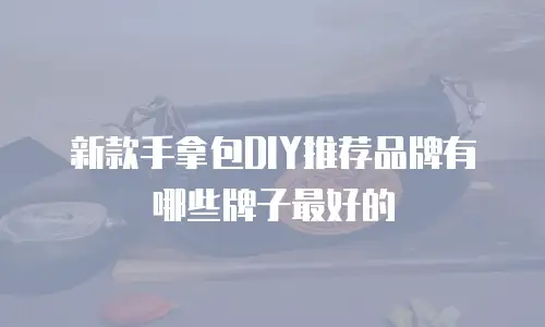 新款手拿包DIY推荐品牌有哪些牌子最好的