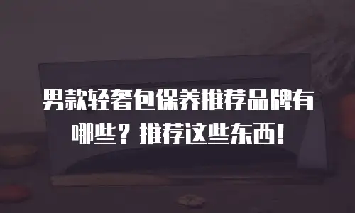 男款轻奢包保养推荐品牌有哪些？推荐这些东西！