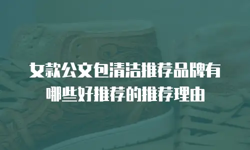 女款公文包清洁推荐品牌有哪些好推荐的推荐理由