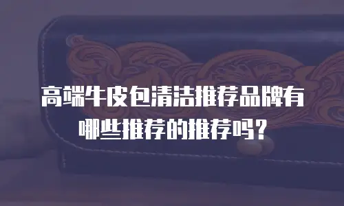 高端牛皮包清洁推荐品牌有哪些推荐的推荐吗？