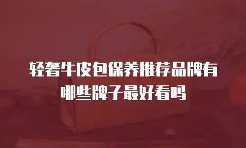 轻奢牛皮包保养推荐品牌有哪些牌子最好看吗